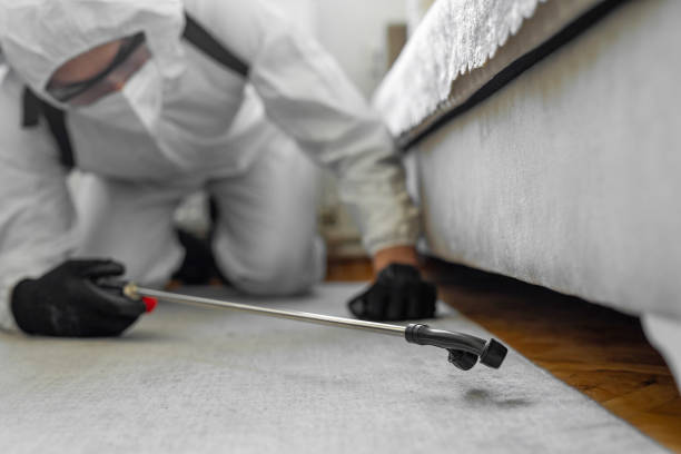Professional Ant Control technician working in Monroe County County, IA